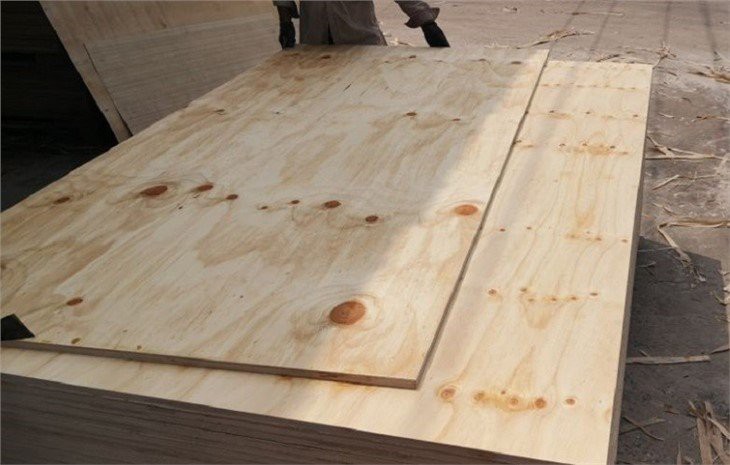 cdx pine plywood
