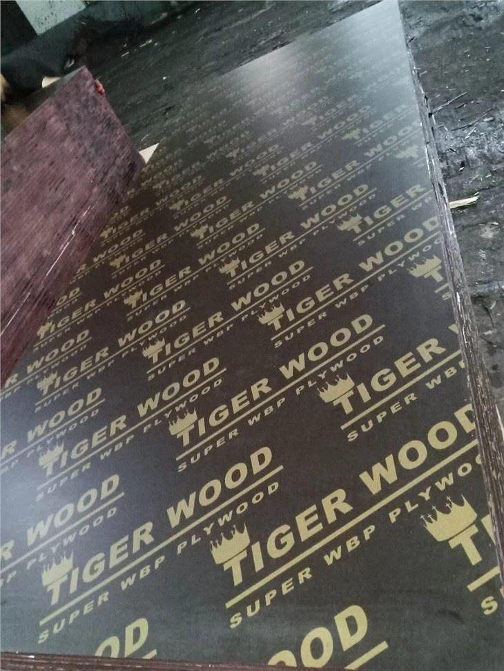 Brich Plywood Bil-Ħin ta 'Boling tal-Kolla Fenolika 72 Siegħa