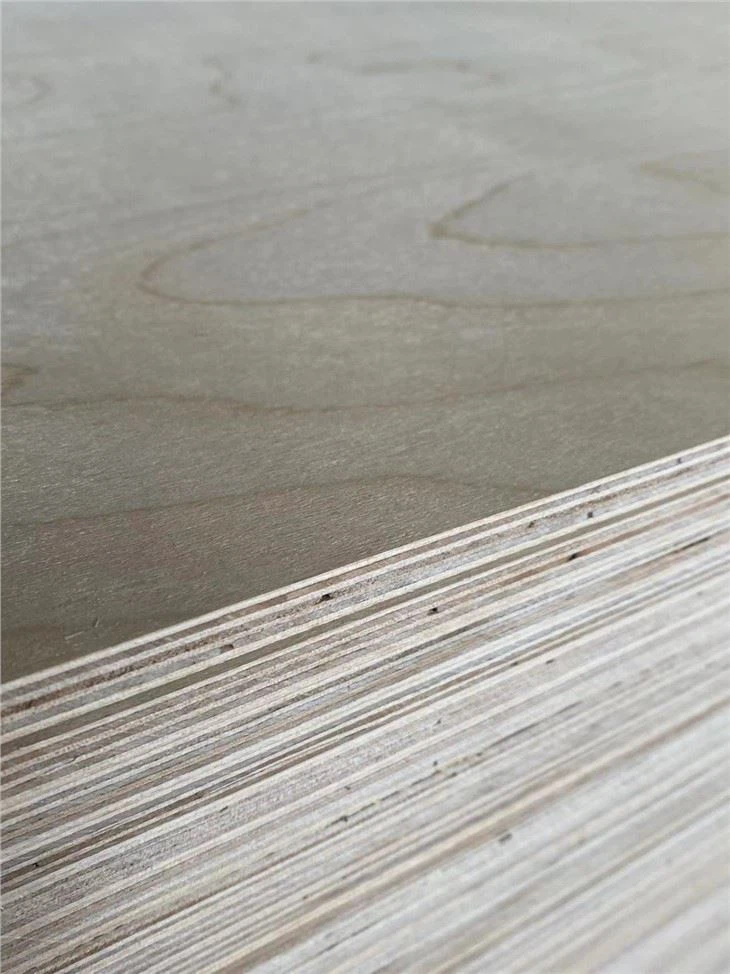 Ippakkjar Irħis Użu Plywood Poplar Plywood Kummerċjali Ta 'Grad ta' Ippakkjar