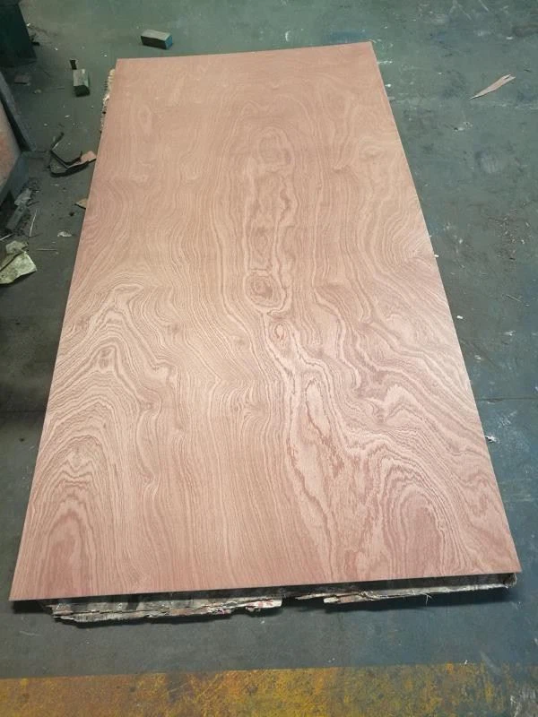 Plywood Kummerċjali Funiture Grad