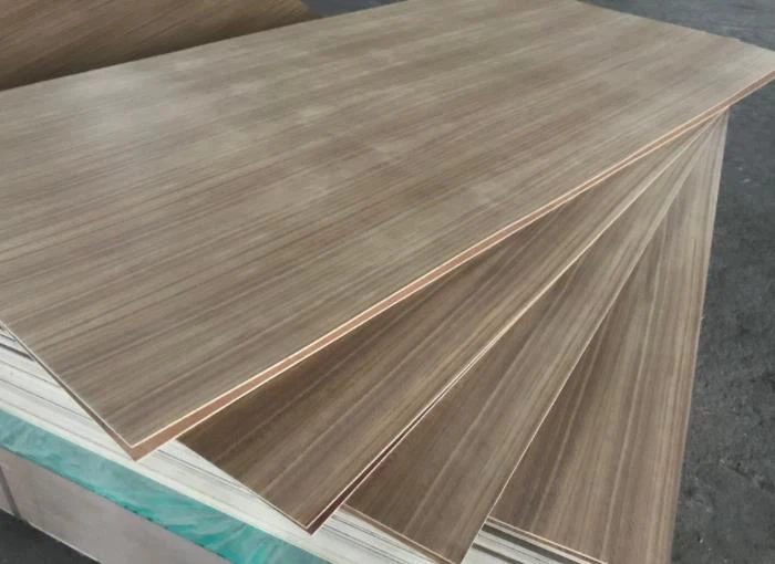 Plywood fann Melamine Plywood