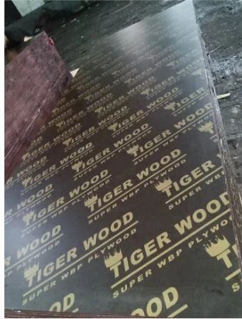 Film Front Plywood/Bord tal-Baħar