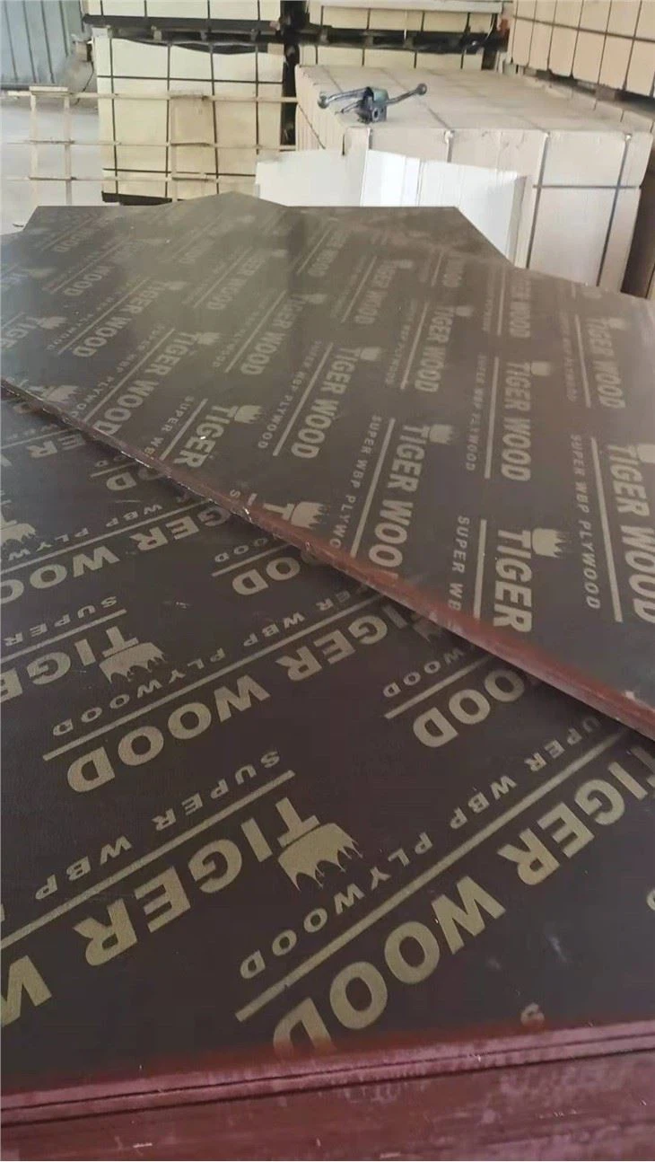 Film Faced Plywood Għall-bini tal-Kostruzzjoni