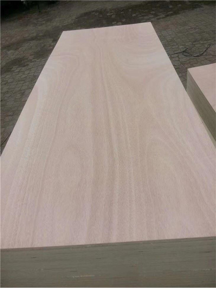 Outdoor Camping Cutting Laminated Wood Panel Chopping Blockboard/Block Board Core