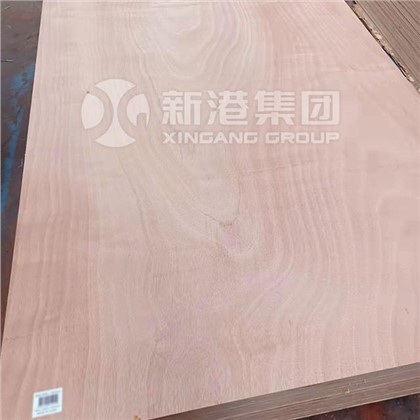 1220 * 2440mm Plywood Kummerċjali tal-wiċċ Okoume