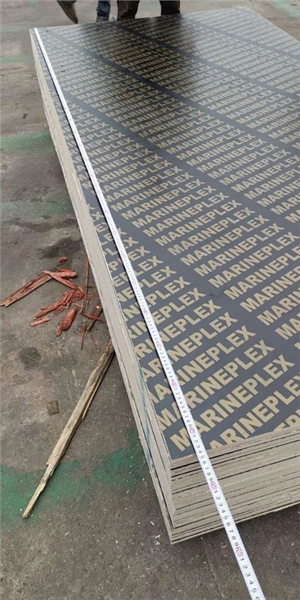 18mm Baħar Plex Plywood Film Wiċċ Plywood