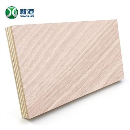 Bieb Ġilda 18mm Kwalità Tajba Kummerċjali Plajwud Għamara Grad Cheap Plywood Naturali