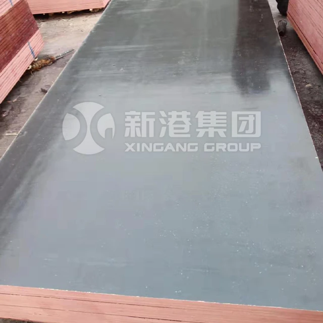 Finger Jion Plywood 20250224