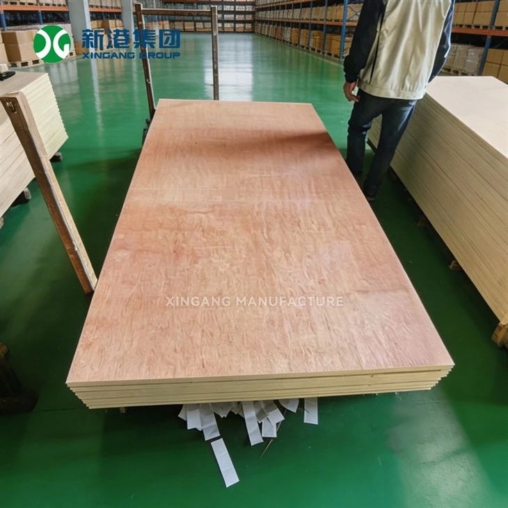 Custom Size And Grade Bintangor Plywood OEM ODM Service From Xingang Factory suppliers