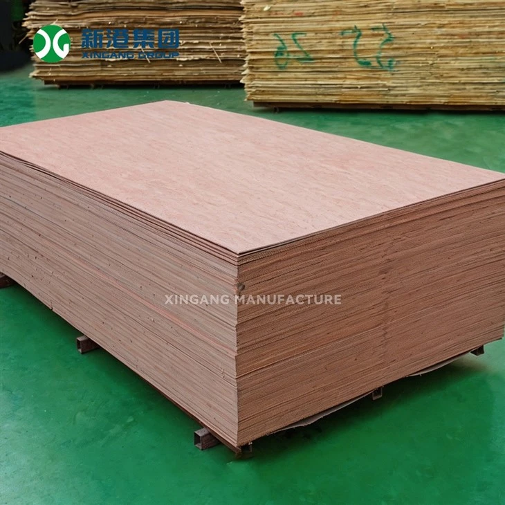 Custom Size And Grade Bintangor Plywood OEM ODM Service From Xingang Factory factory