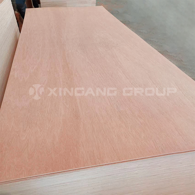 E1 Glue Bintangor Plywood Hardwood Veneer Plywood factory