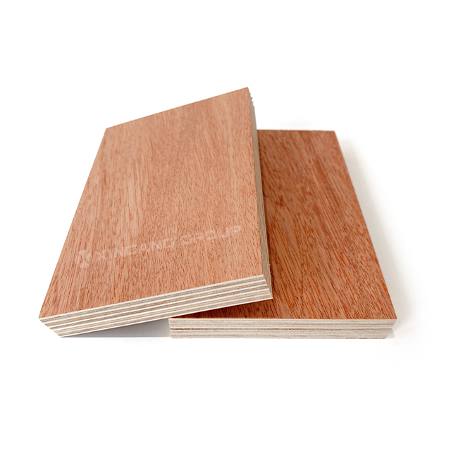 E1 Glue Bintangor Plywood Hardwood Veneer Plywood suppliers