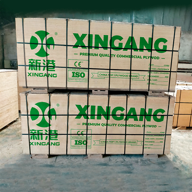 E1 Glue Bintangor Plywood Hardwood Veneer Plywood price