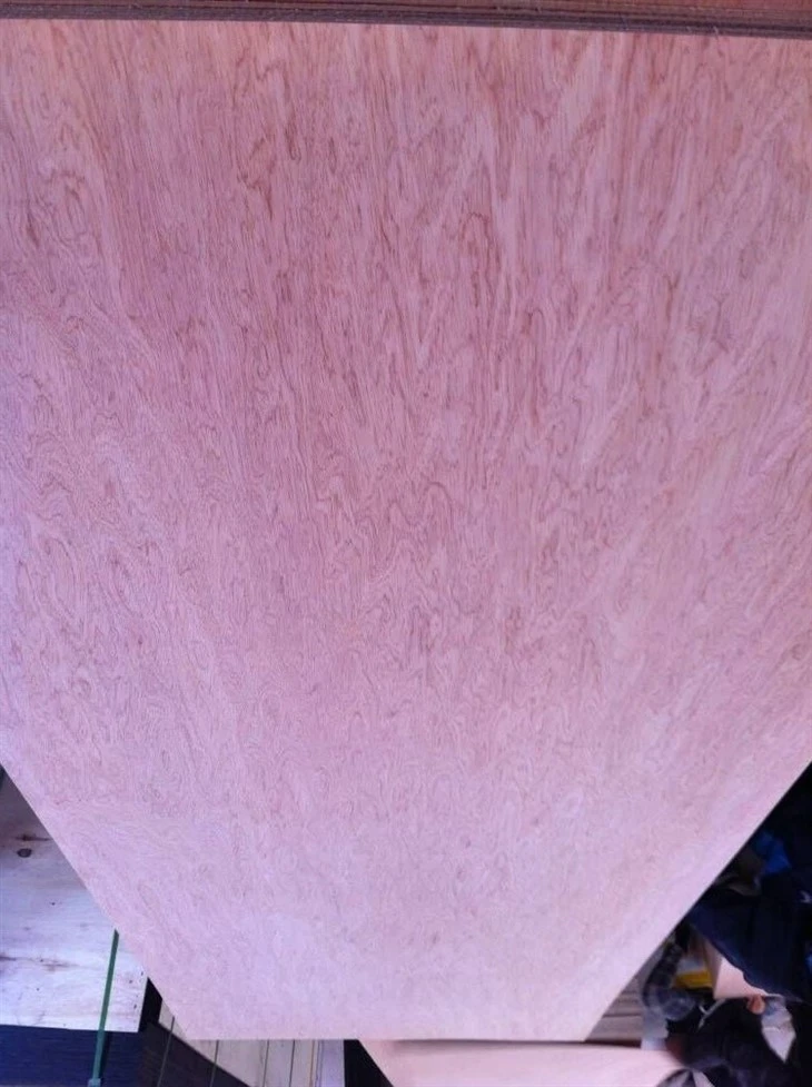 Okoume Bintangor Plywood għall-Għamara
