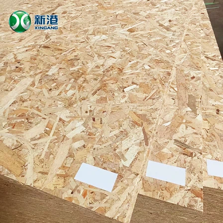 OSB241220